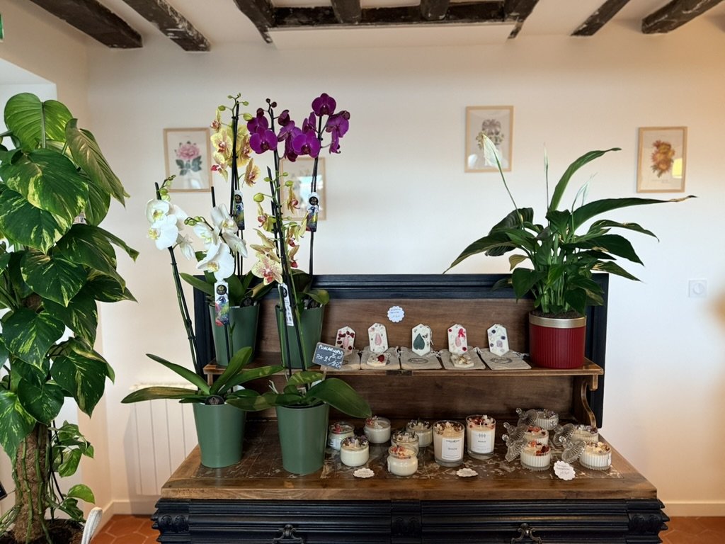 Orchidées et bougies dans la boutique